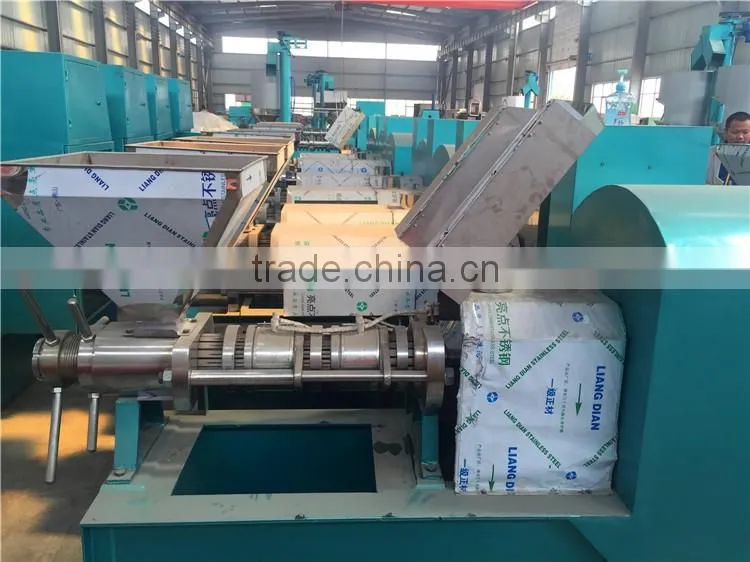 HSM ISO CE Mini Home Use Oil Press Machine Price