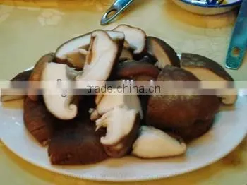 hot sale mushroom sicing machine