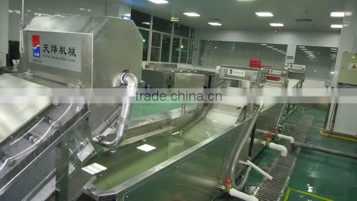 TW-307L automatical leafy vegetable washer (Video)
