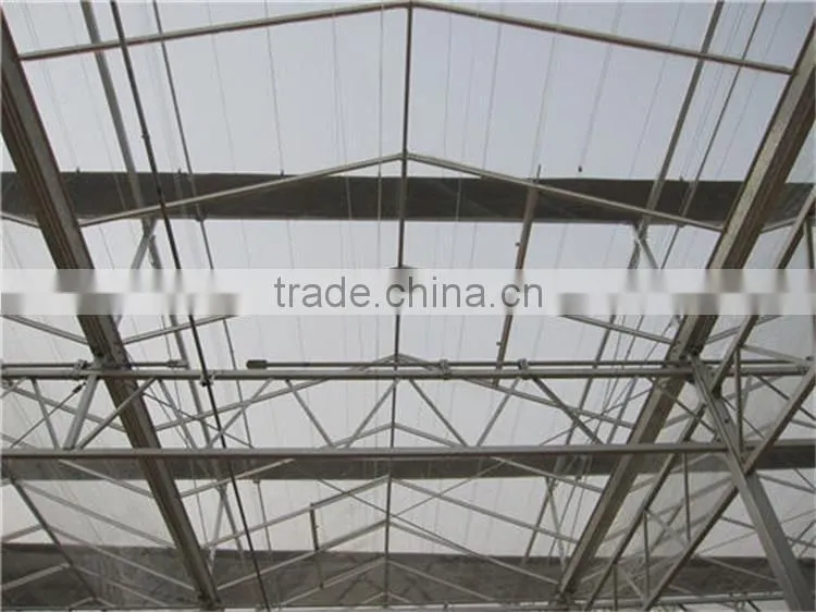 Polycarbonate Covered Greenhouse For Ecnomic Use/Agriculture Planting Greenhouse