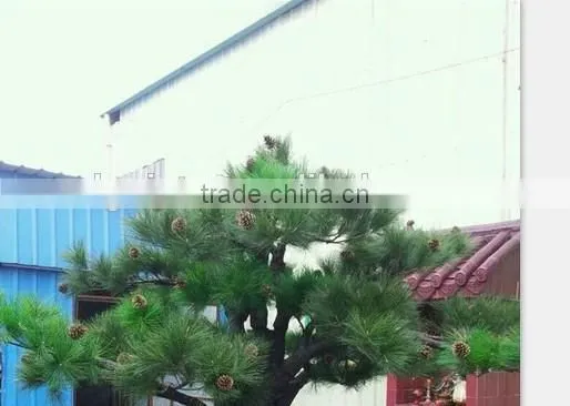 hot sale artificial tall pine trees