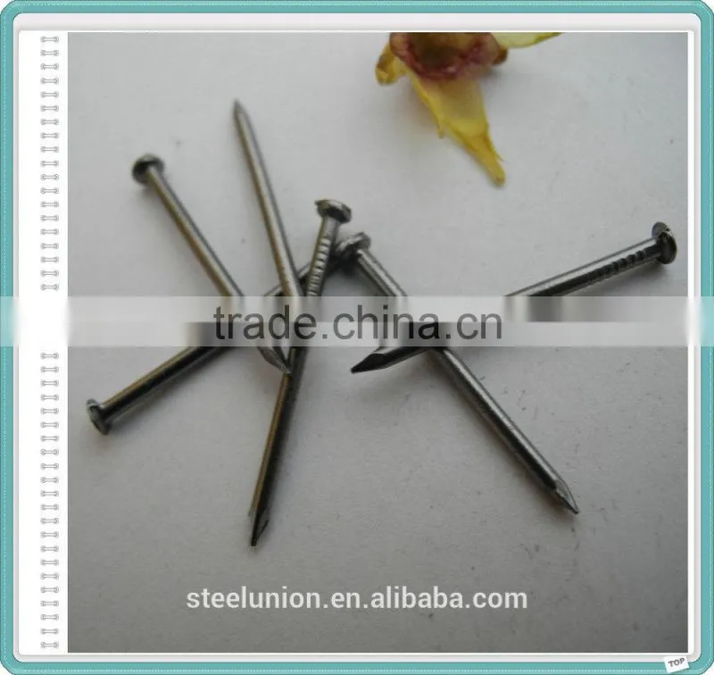 2.5" Polished Nail/Common Nail/Wire Nail