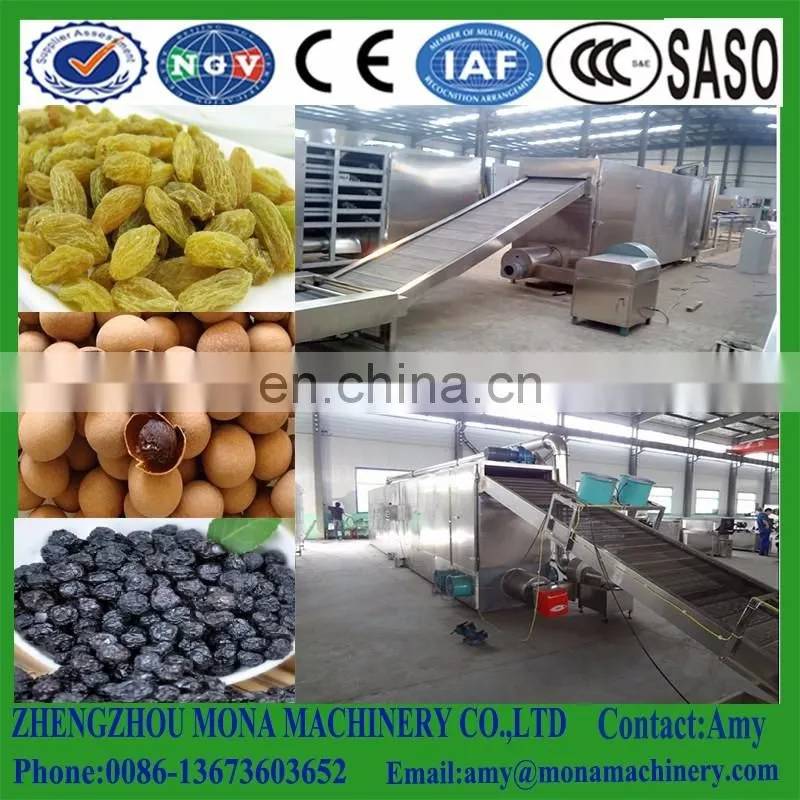 Industrial/commercial tunnel mango microwave dryer/drying machine/dehydrator
