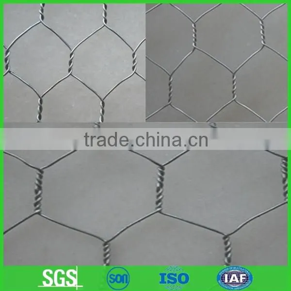 Electric galvanized hexagonal wire mesh for chicken house
