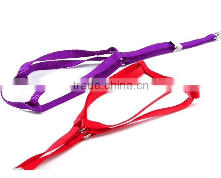 Wholesale new fluorescent color chest straps High quality nylon pet harness leash