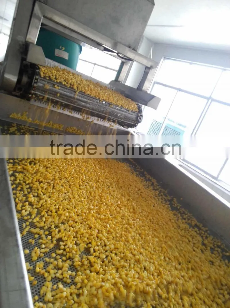 IQF Frozen sweet corn kernel Jinfei Cuiwang huazhen variety