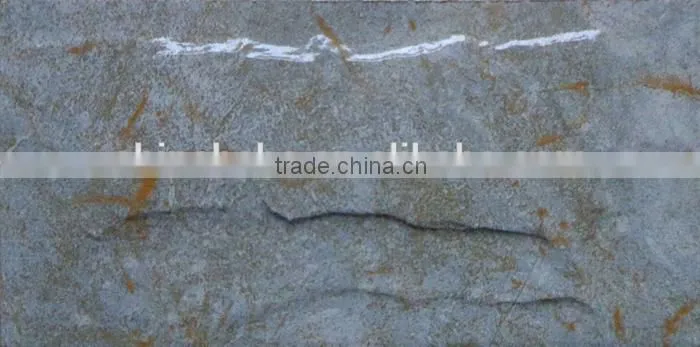 6D Inkjet painting outdoor wall tile100x200mm