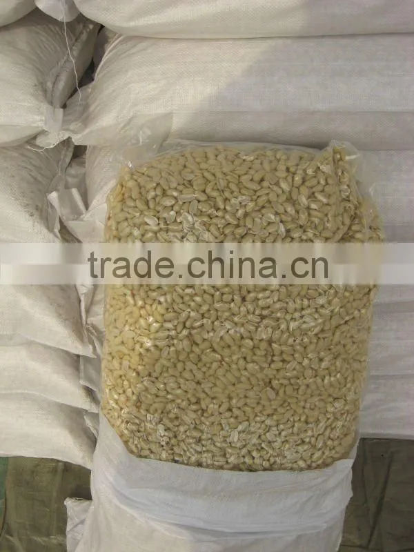 New Crop Blanched Peanut Kernel