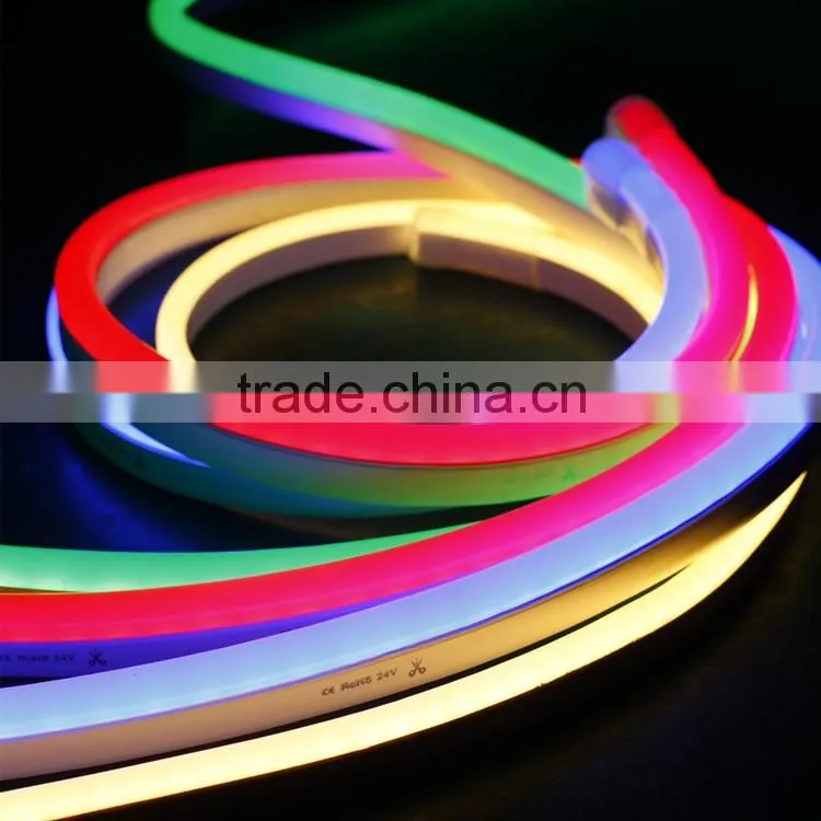 110V IP65 2 Wire LED Flex Neon