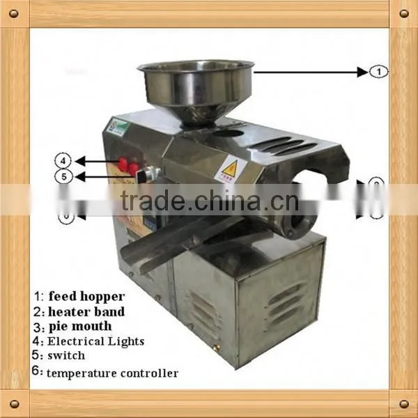 oil press machine with low price for pumpkin seed, cold press Moringa seed oil extracting machine