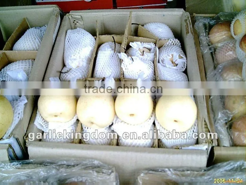 China shandong pear/China Delicious Nashi Pear/ya pear
