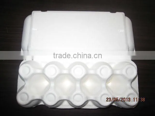 10 Eggs Sugarcane Fiber Moulded Pulp Chicken Egg Tray