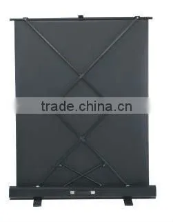 Floor Projection Screen