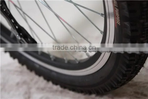 New Eagle mountain bike electric