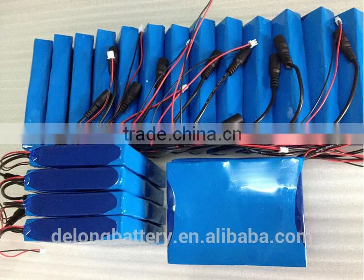 Customized 12v light weight battery packs factory price sprayer battery 12v 6.6ah battery pack