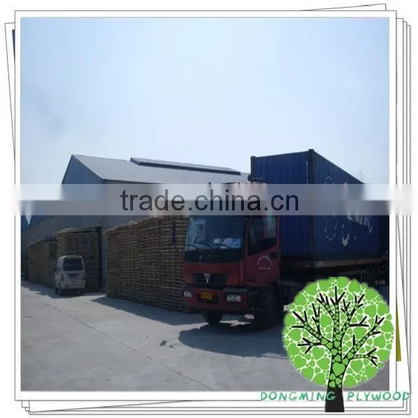 OSB&Chipboard with high quality