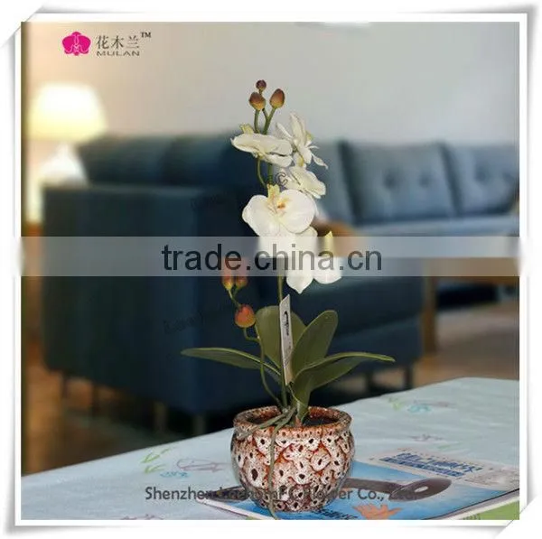 Decorative Orchids in Pot Silk Colorful Flowers For Sale