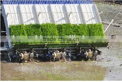 New Designed High Quality ISEKI Automatic Rice Transplanter