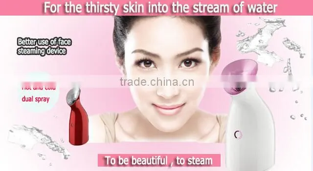 Personal Ionic Spa Facial Steamer, Spa Facial Equipment For Skin Care, Face Steaming Machine