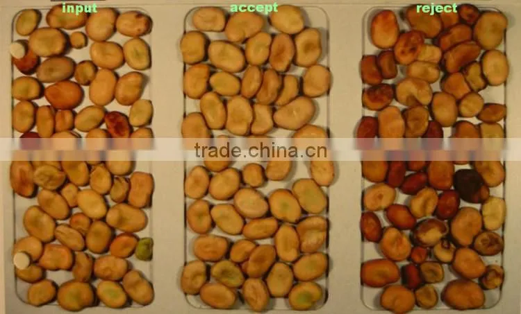 2016 patented ejector green pea processing machine/pea seeds snack sorting machine