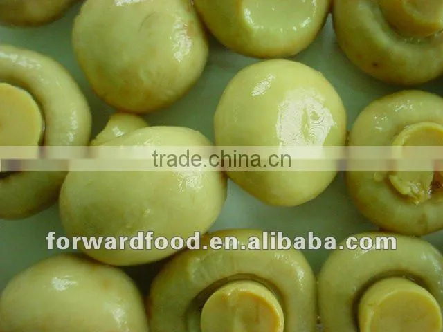 212ml best canned marinated mushrooms in glass jars