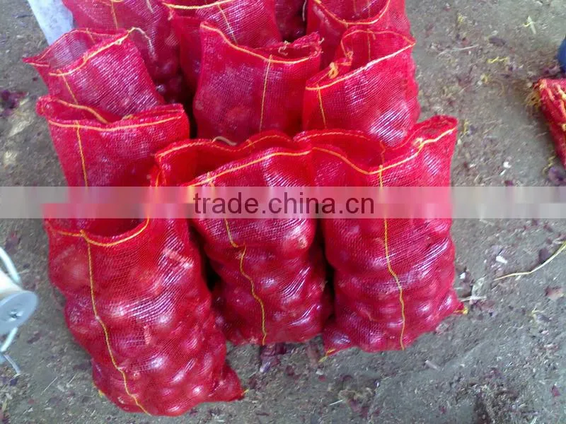 Red Onion