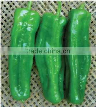 Hybrid Green Horn pepper chili seeds for growing- PS016