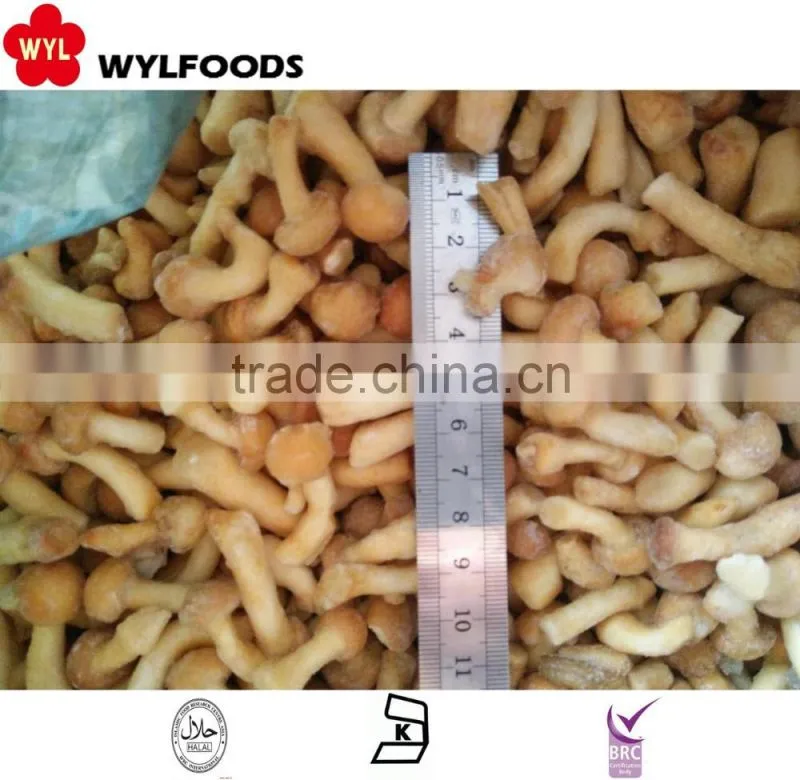 Top sale Best price frozen Suillus granulatus 2016