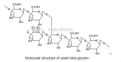 Angel Yeast Beta Glucan as pharmaceutical immune polysaccharid and anti radiation