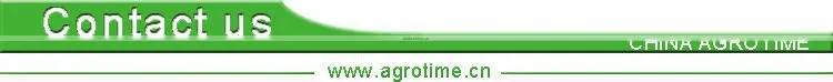 High benefit hydroponic green house for lettuce for sale