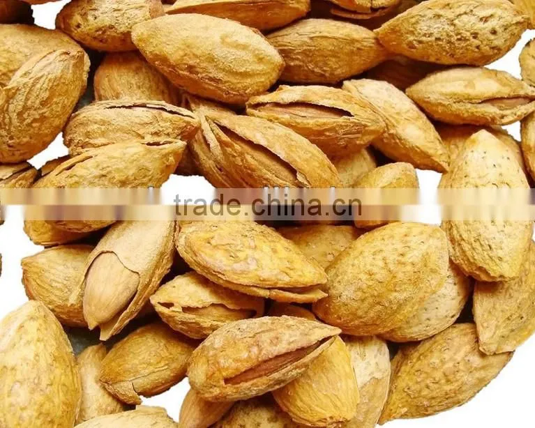 Popular almond husk and kernel separating machine/almond hazelnut shelling and separator machine/kernel husk separation machine