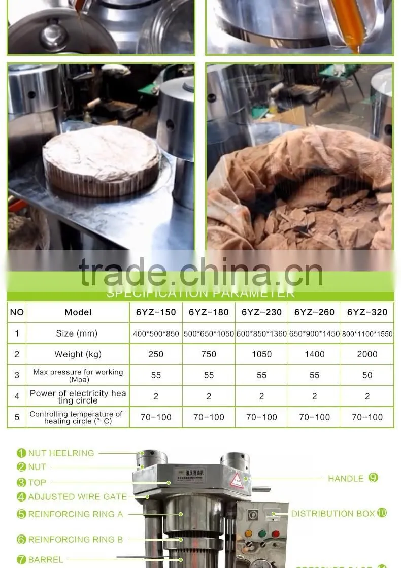 Cost-efficient Cocoa Butter Press Machine Sesame Oil Press Machine