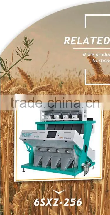 Dried Rosehip Sorting Machine CCD Color Sorter With High Quality