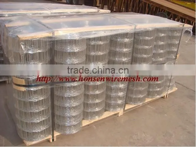 Galvanized Welded wire mesh (Factory)
