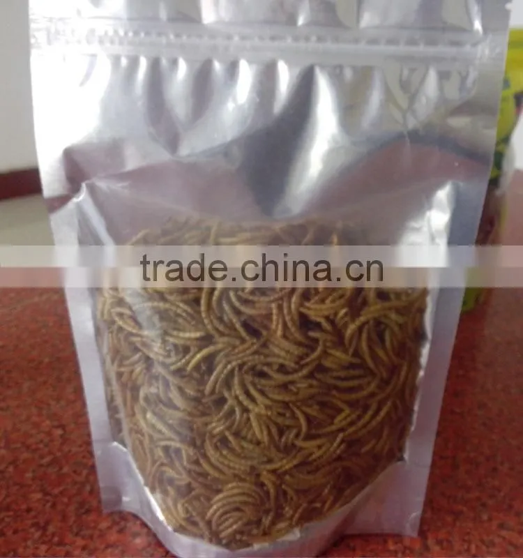 Import China Products Dried Mealworms Of Bird Food