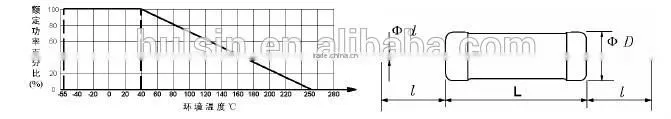 RX21 Wirewound Ceramic resistor