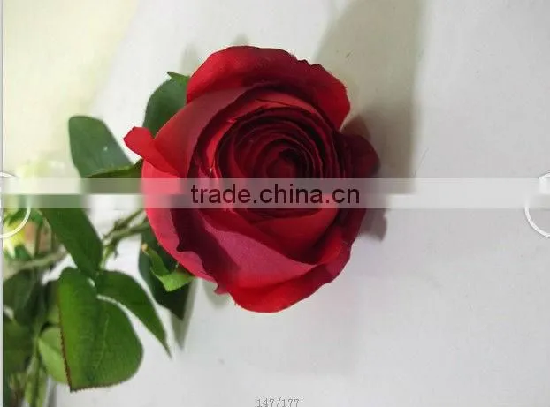 pretty popular fashion red lifelike artificial valentine rose with high quality