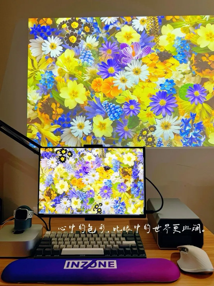 Mini LED vs OLED vs IPS Laptop Display Which One Is Better for Gaming  Professional Portable monitor