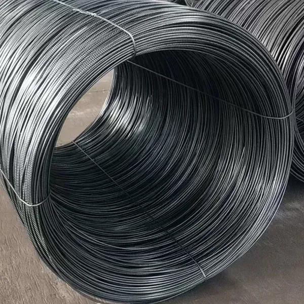 微信图片_2026-08-26_104920_387.png