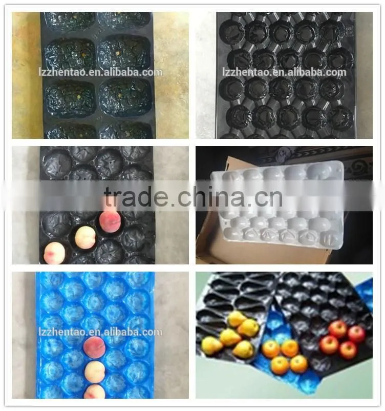 high quality OEM foam food packaging tray, strip EPS foam tray for packaging, EPS plastic foam meat tray