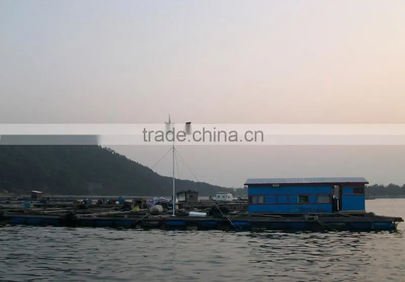 800w wind turbine -generators wind generator for residence