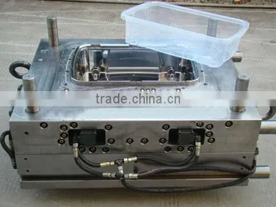 Electric Oven With 2 Hot Plate plastic injection mould for home appliance