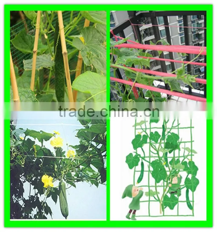 High quality plastic grape plant support net/plants protection net