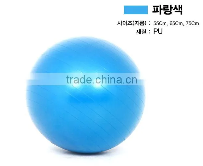 Gym Ball Swiss Ball/ Gym Equipment/ Rack