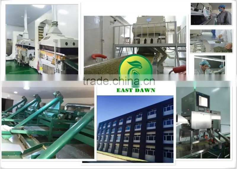 Chinese sunflower seeds 5009 Long shape 270PCS/50G