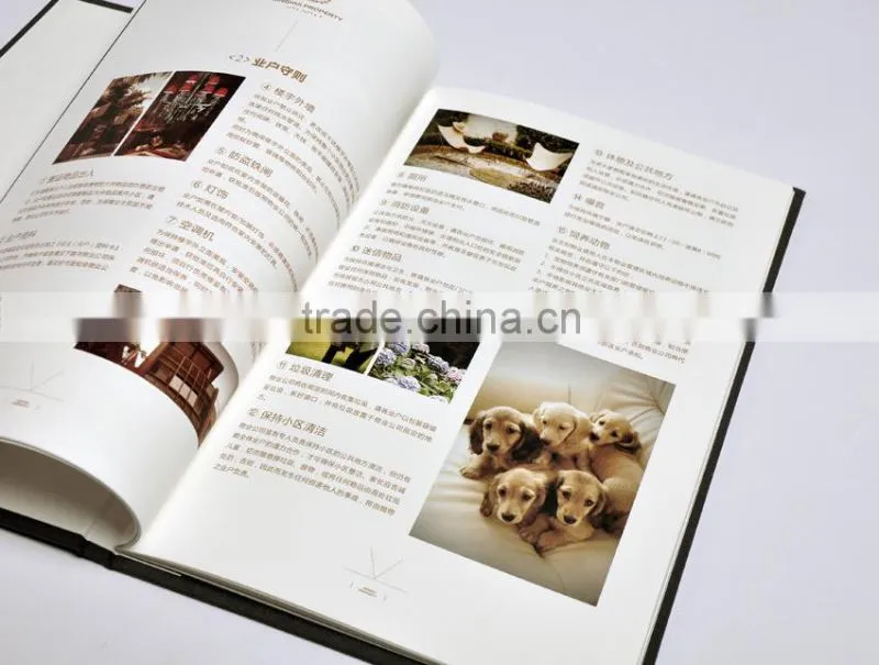 full color customized painting album