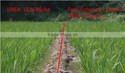 NPK compound fertilizer enhancer Ferti-Enhancer