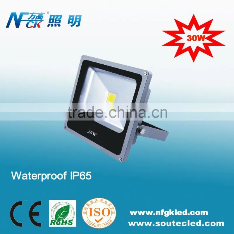 High quality Wholesale Epistar Bridgelux COB 30W LED Floodlight