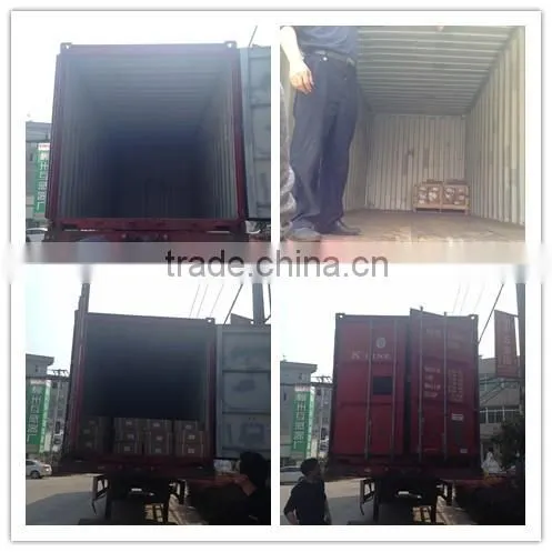 High quality low price china lead manufacturer T8 tube fixture IP65 2x18w explosion proof fluorescent luminaire