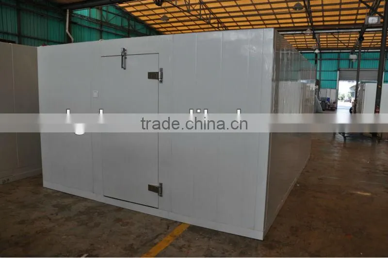 PU Insulated cold rooms and freezer rooms with cam lock system